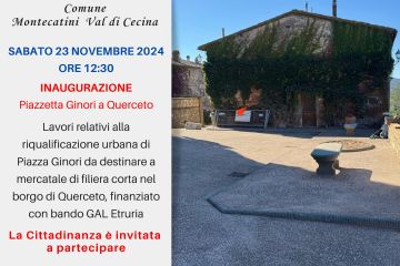 Sfoglia la galleria